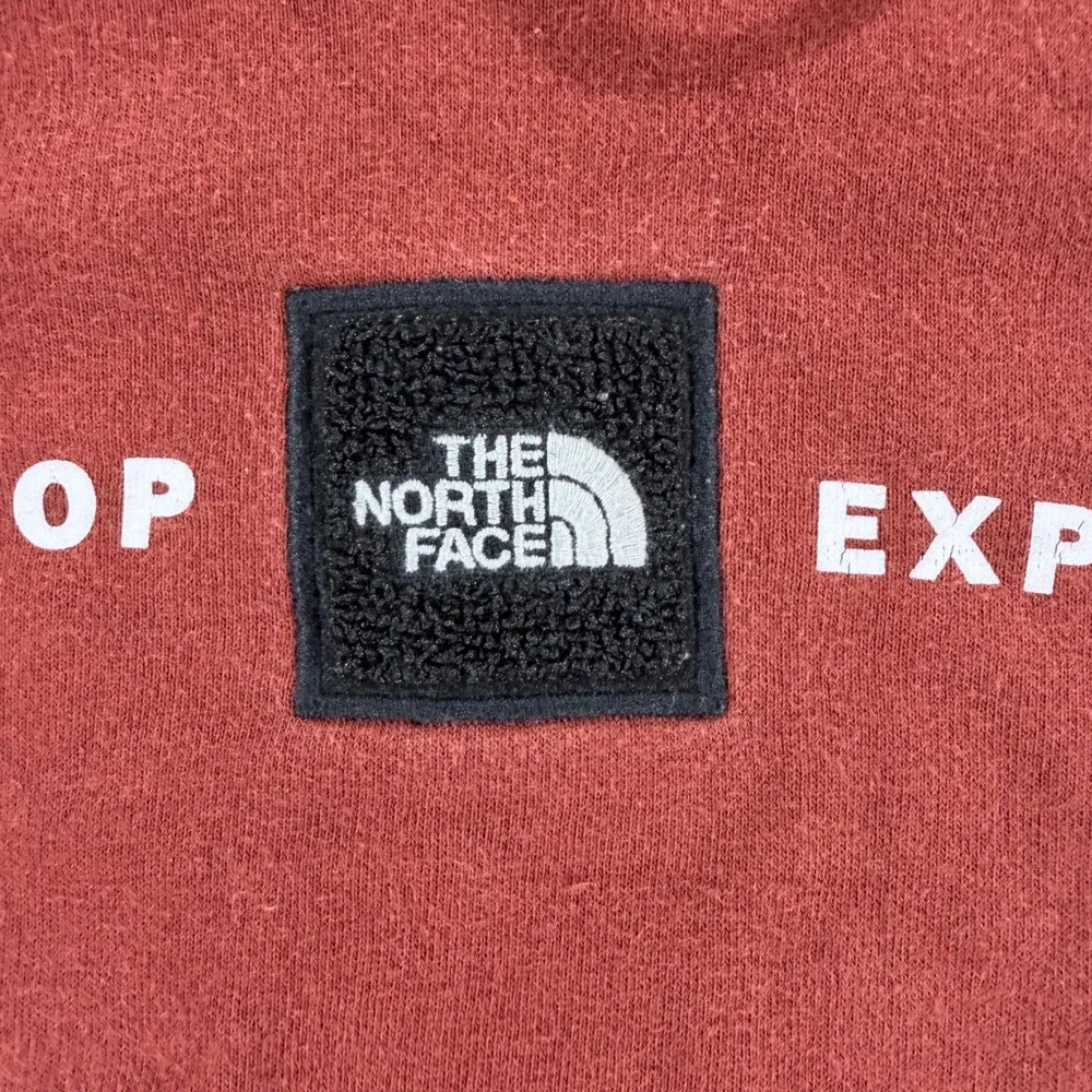 The North Face Mens Never Stop Exploring Hoodie Rust Red Pullover Large